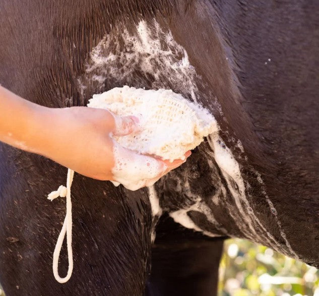 Kakadu Plum Shampoo Bar