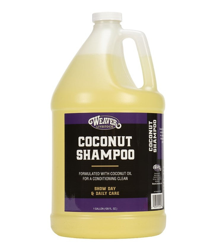 Coconut Shampoo