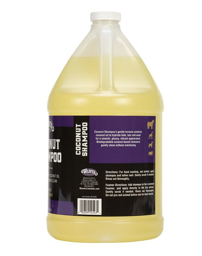Coconut Shampoo