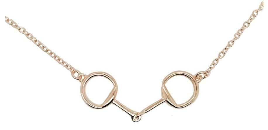 PENDANT S/S &amp; CHAIN RGP SNAF B