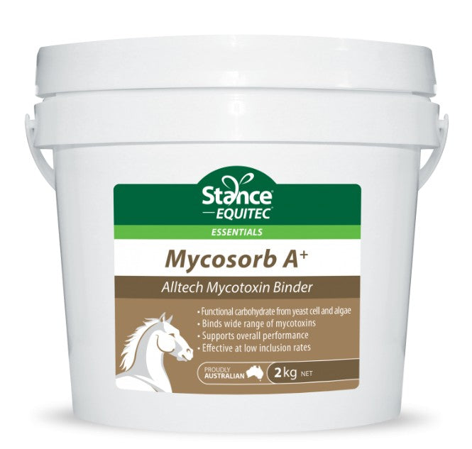 Equitec Essentials Mycosorb A +