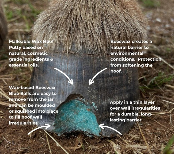 Beeswax Blue Balls - Hoof Wall Crevice Wax