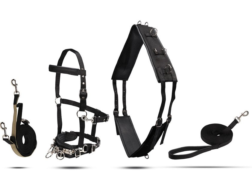 Anti-Gall Lunging Starter Kit