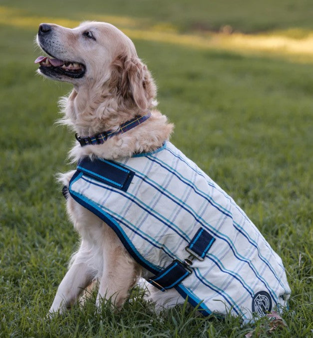 Earlwood Dual Season Dog Rug Wool