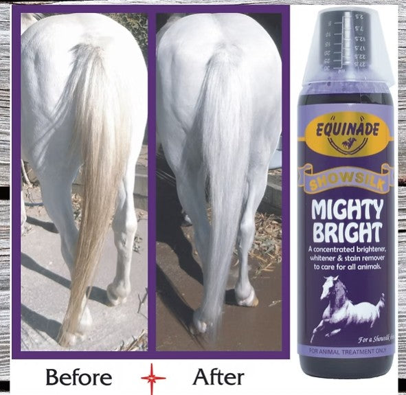Equinade Showsilk Mighty Bright