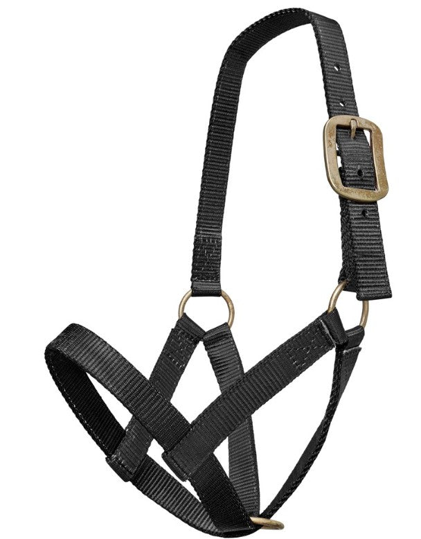 Nylon Cattle Halter Yearling
