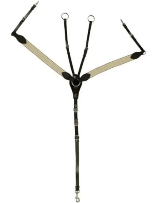 Academy Breastplate
