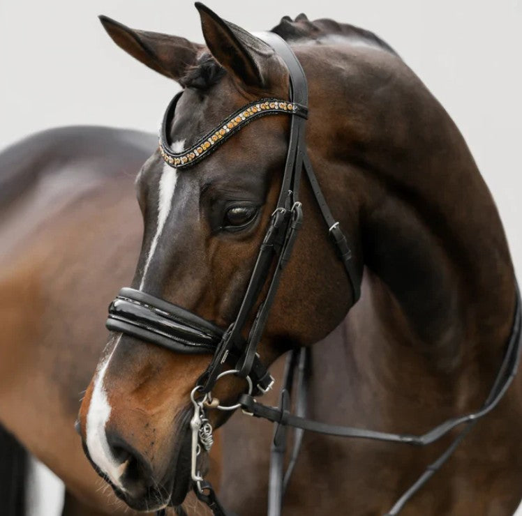 Lumiere - Ariana bridle (double)