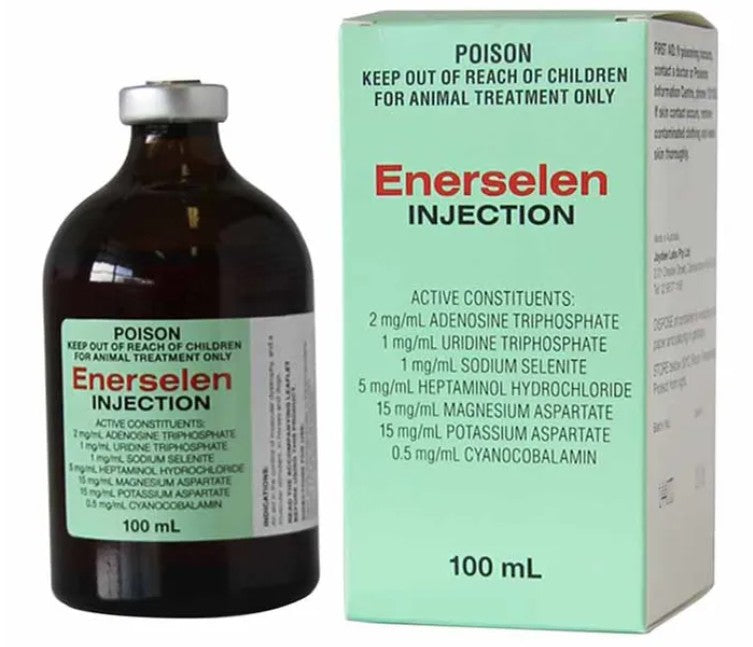 Ausrichter Enerselen Injection