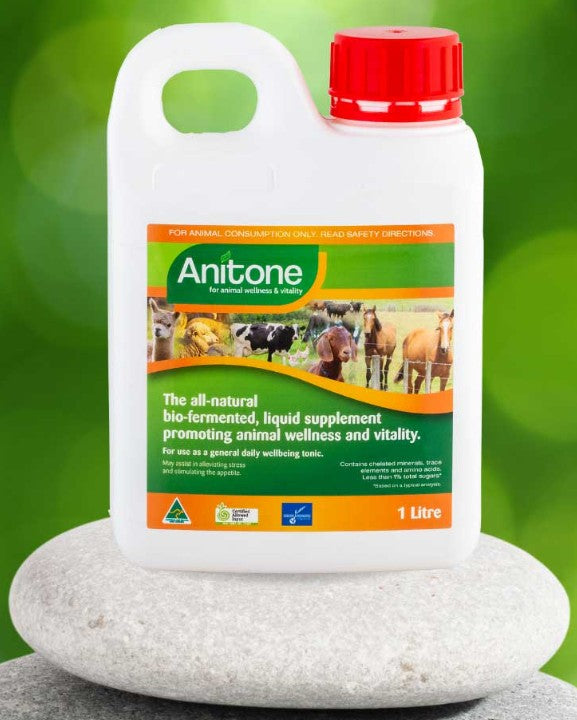 Anitone