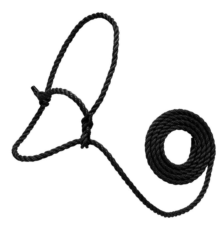 Poly Rope Cattle Halter