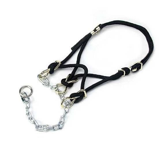 Hackamore Halter
