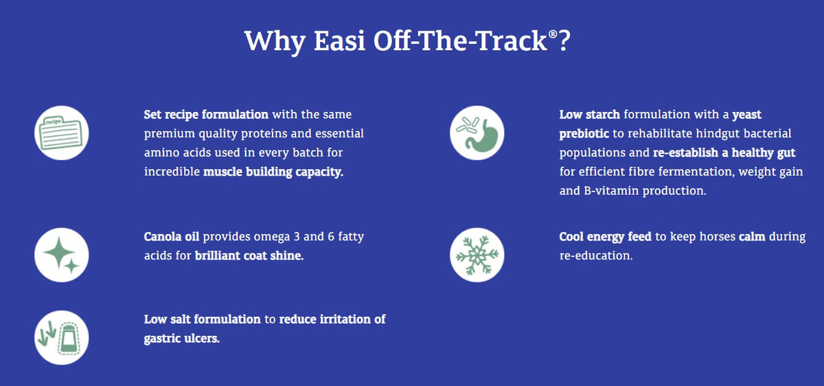Prydes Easi Off-The-Track