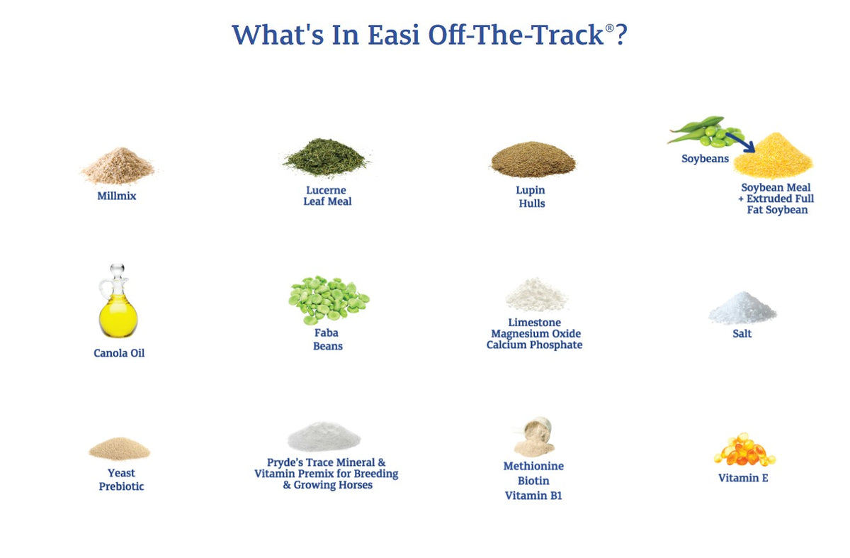 Prydes Easi Off-The-Track