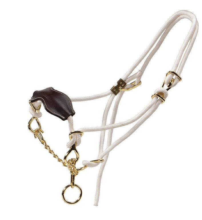 Breaking In Halter - Cow