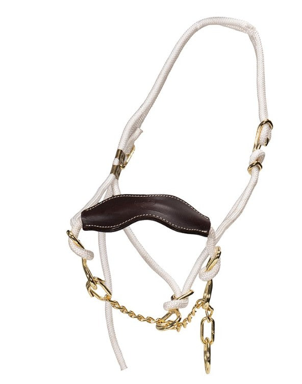 Breaking In Halter - Cow