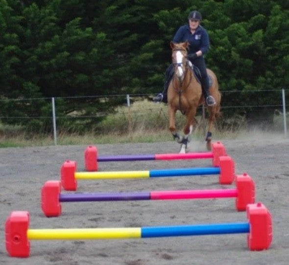 Ferrari Training Cavaletti Jump Pink/Purple Set