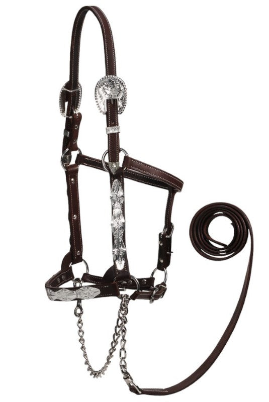 Ohio Show Halter