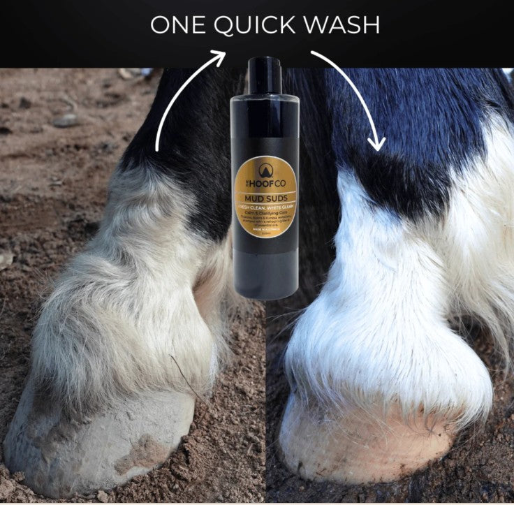 Mud Suds Clarifying Charcoal Horse Shampoo