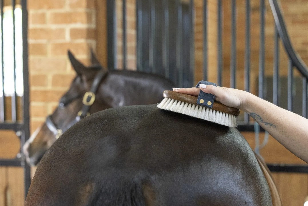 NTR Indulge Lambswool Finishing Brush
