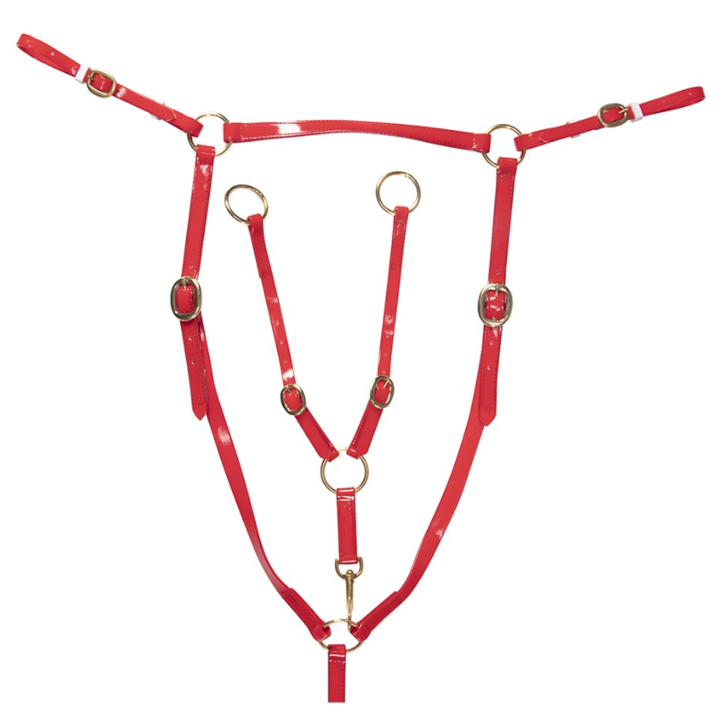 Brass Stockman's Breastplate.