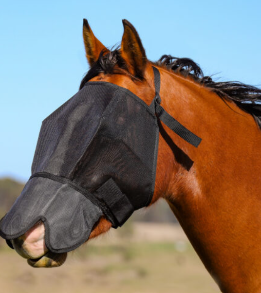 FBD - 100% Blockout Nose Cover
