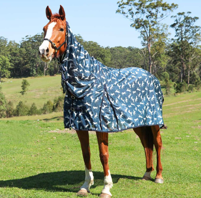 Fly Mesh Horse Print Combo