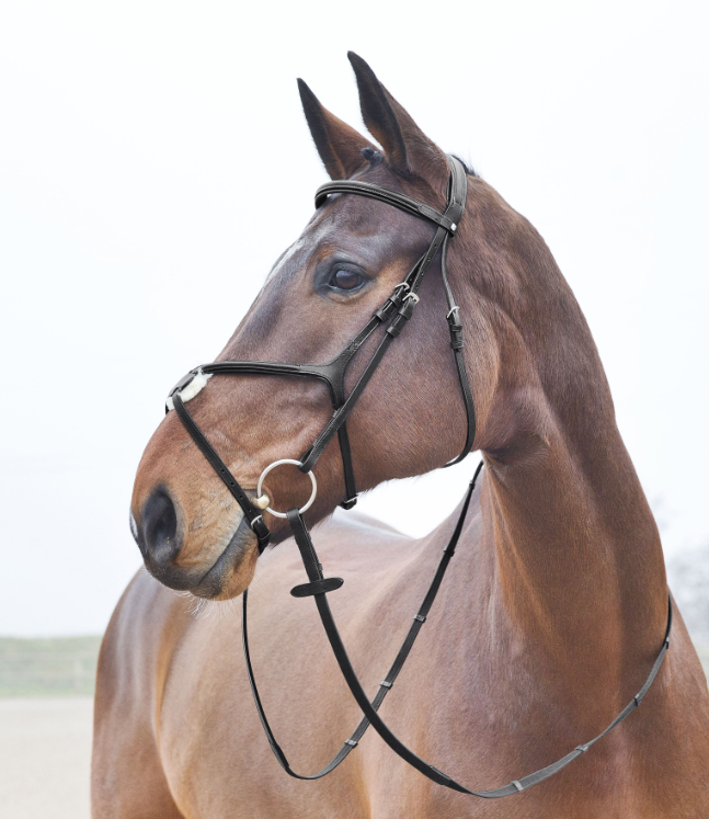 Prescott X Noseband Bridle