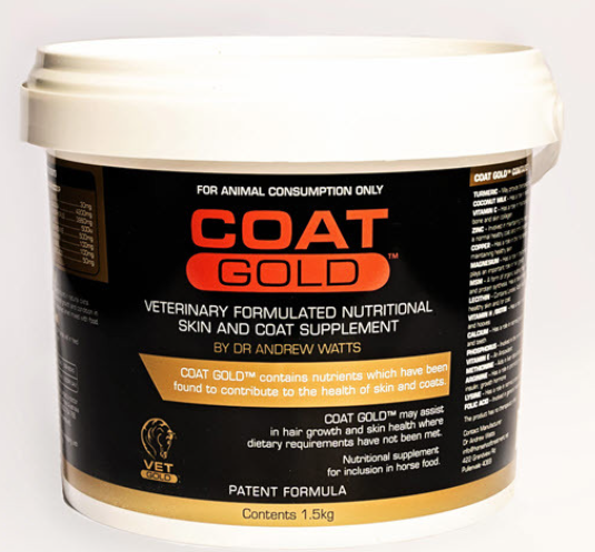 Coat Gold