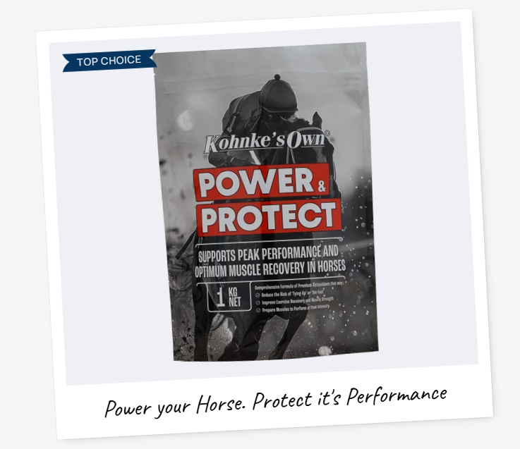 KOHNKE'S POWER & PROTECT