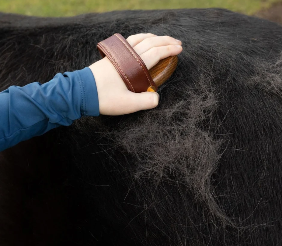 Mini Horse Rubber Brush
