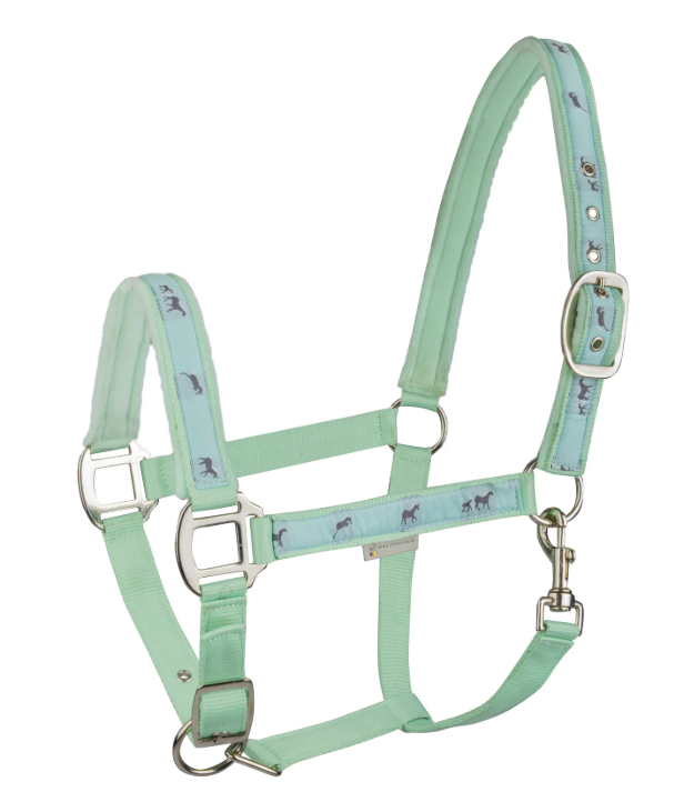 Waldhausen Halter Little Horses