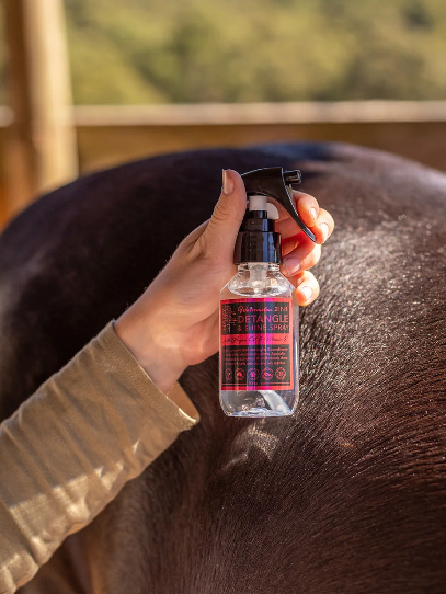 Horse Grooming Sample Set