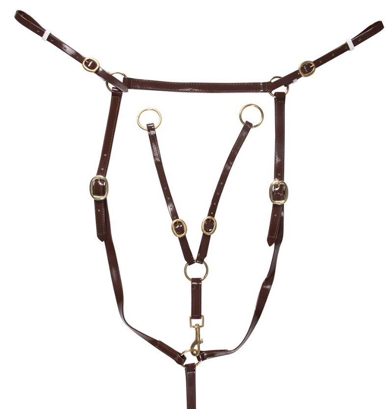 Brass Stockman's Breastplate.