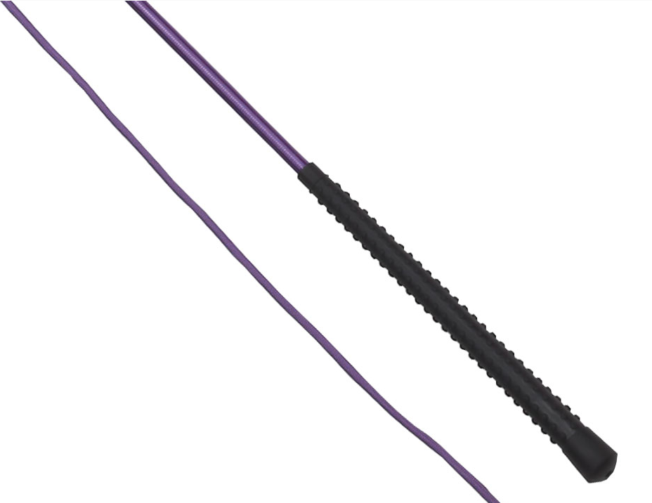 Lunge Whip Neon