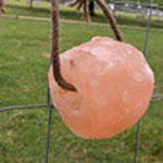 Minrosa Salt Roll w/Rope