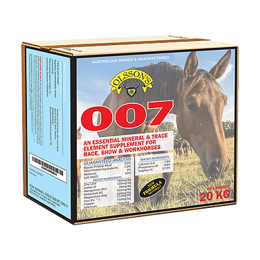 Olsson Horse Block 007