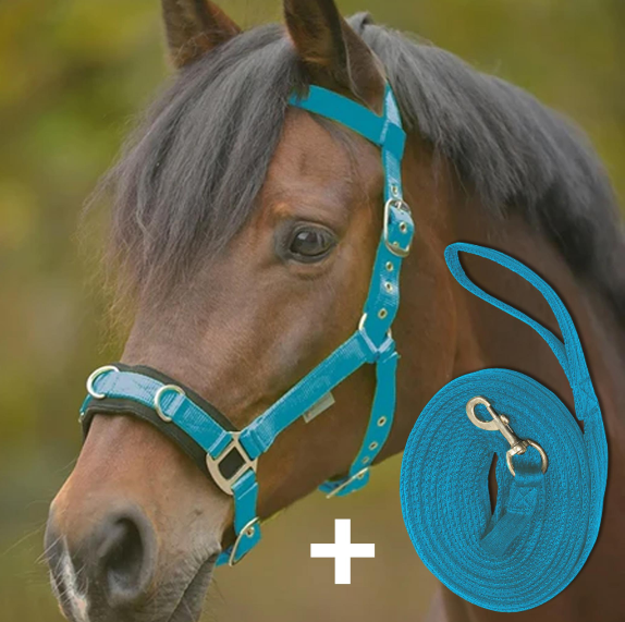 Lunging Cavesson &amp; Rope Set